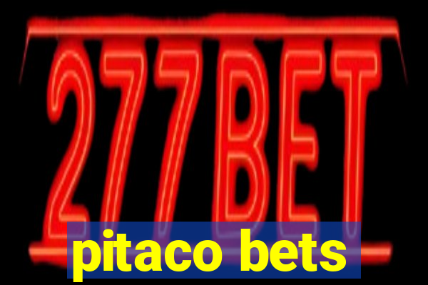 pitaco bets